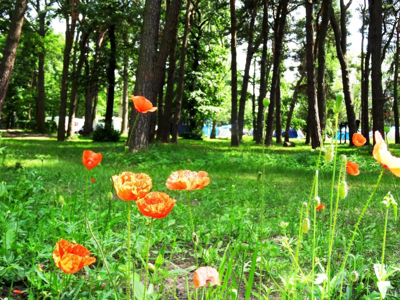 فيلا Sopot 34 Przy Plazy المظهر الخارجي الصورة